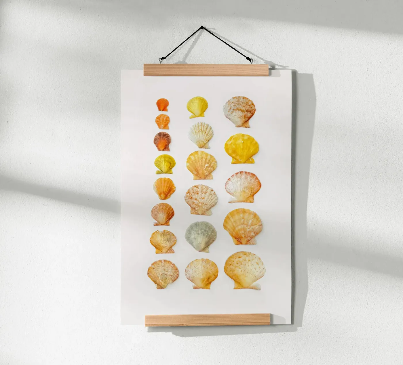 Seashells poster van Curious Collections by Marielle Leenders