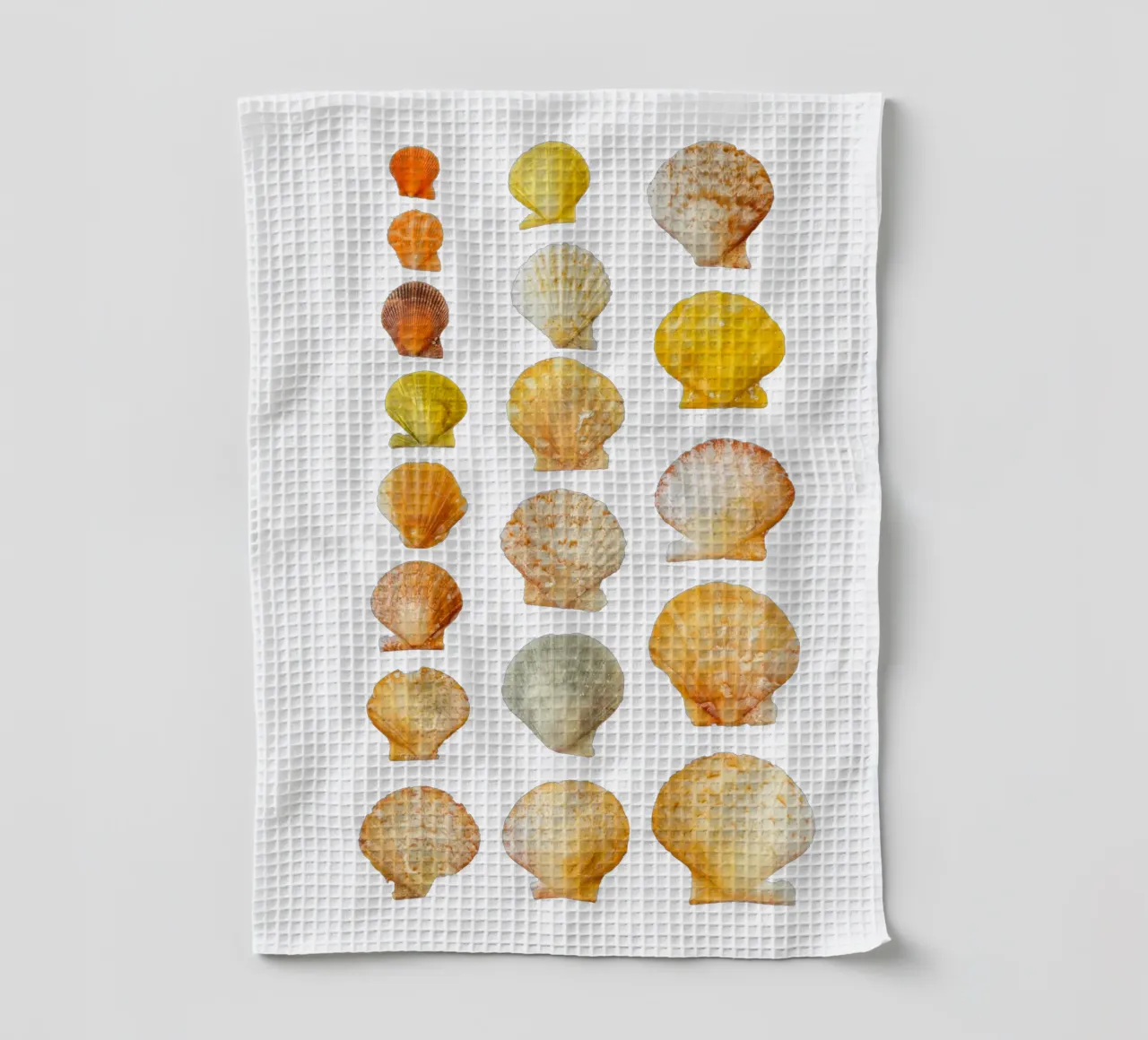 Muscheln Geschirrtuch von Curious Collections by Marielle Leenders