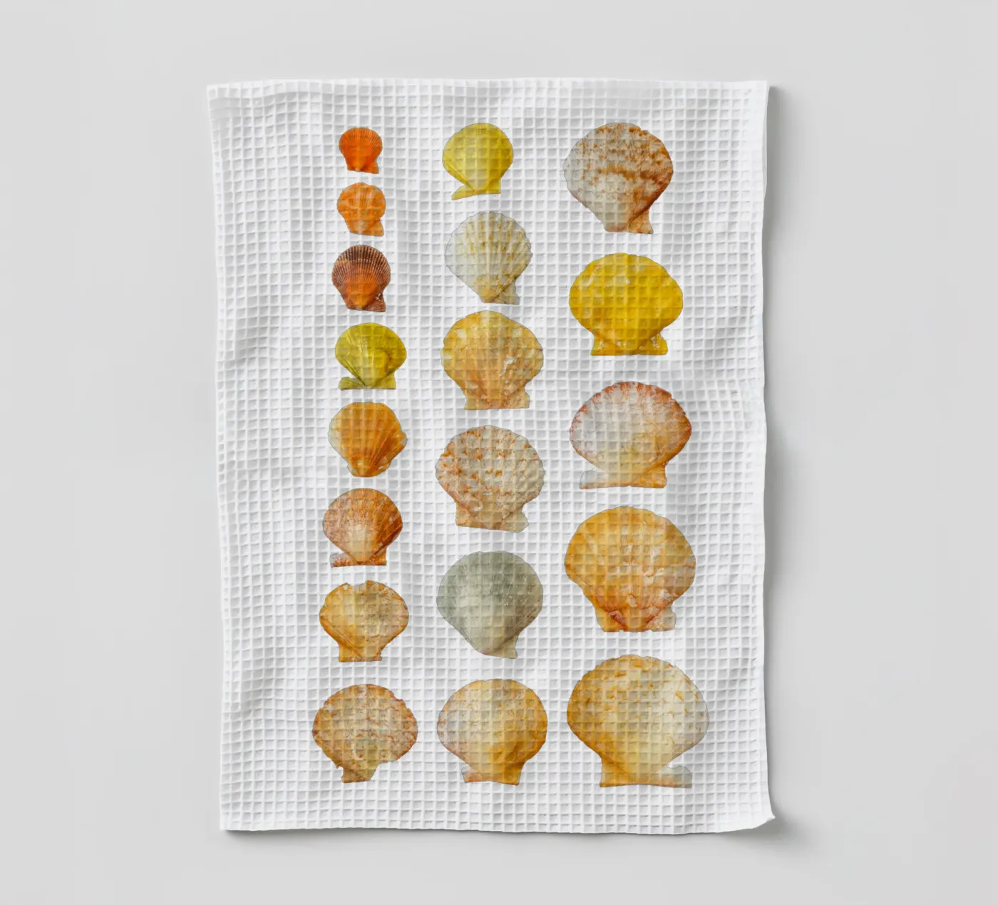 Seashells canovaccio da cucina da Curious Collections by Marielle Leenders