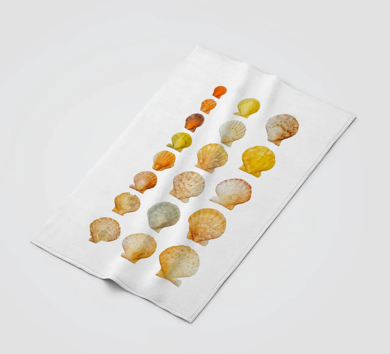 Conchiglie coperta in pile da Curious Collections by Marielle Leenders