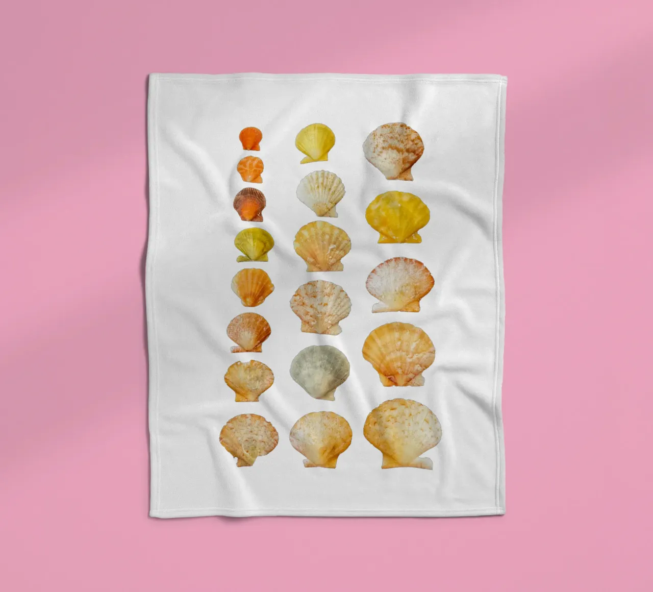 Conchiglie coperta in pile da Curious Collections by Marielle Leenders