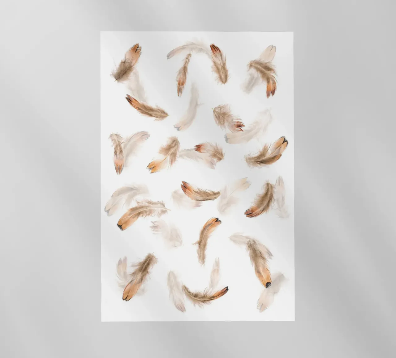 Piume pellicola backlit da Curious Collections by Marielle Leenders