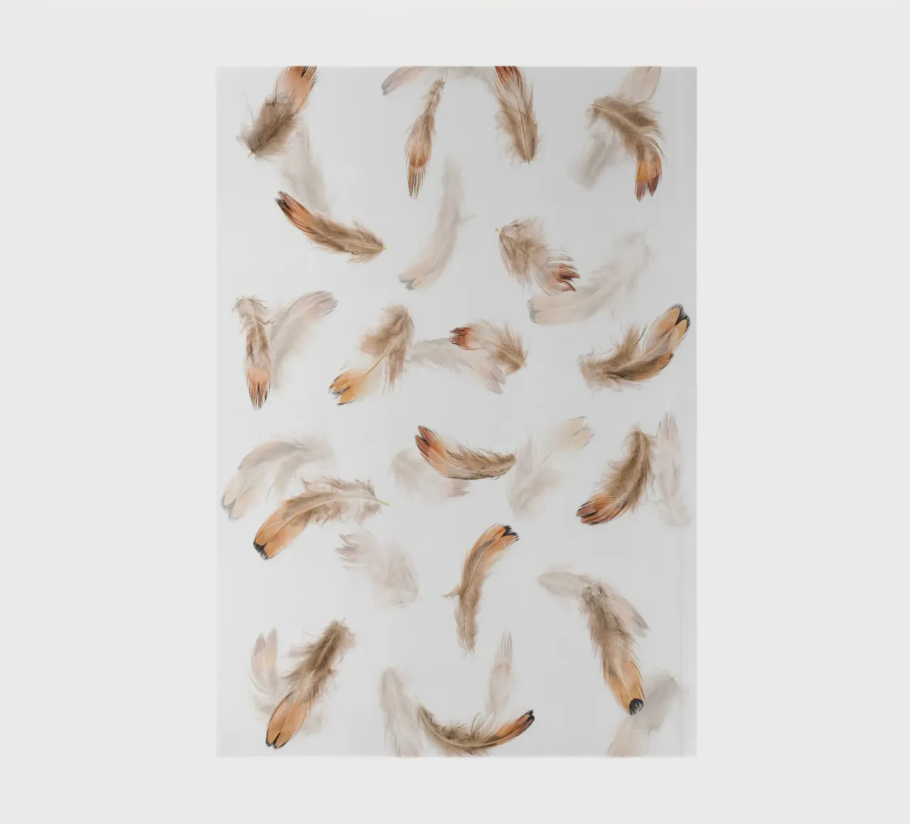 Feathers notebook by Curious Collections by Marielle Leenders