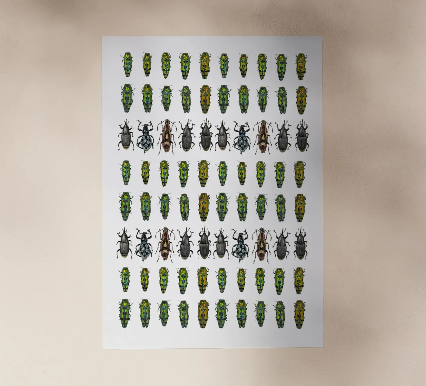 Petits coléoptères film rétro-éclairé de Curious Collections by Marielle Leenders