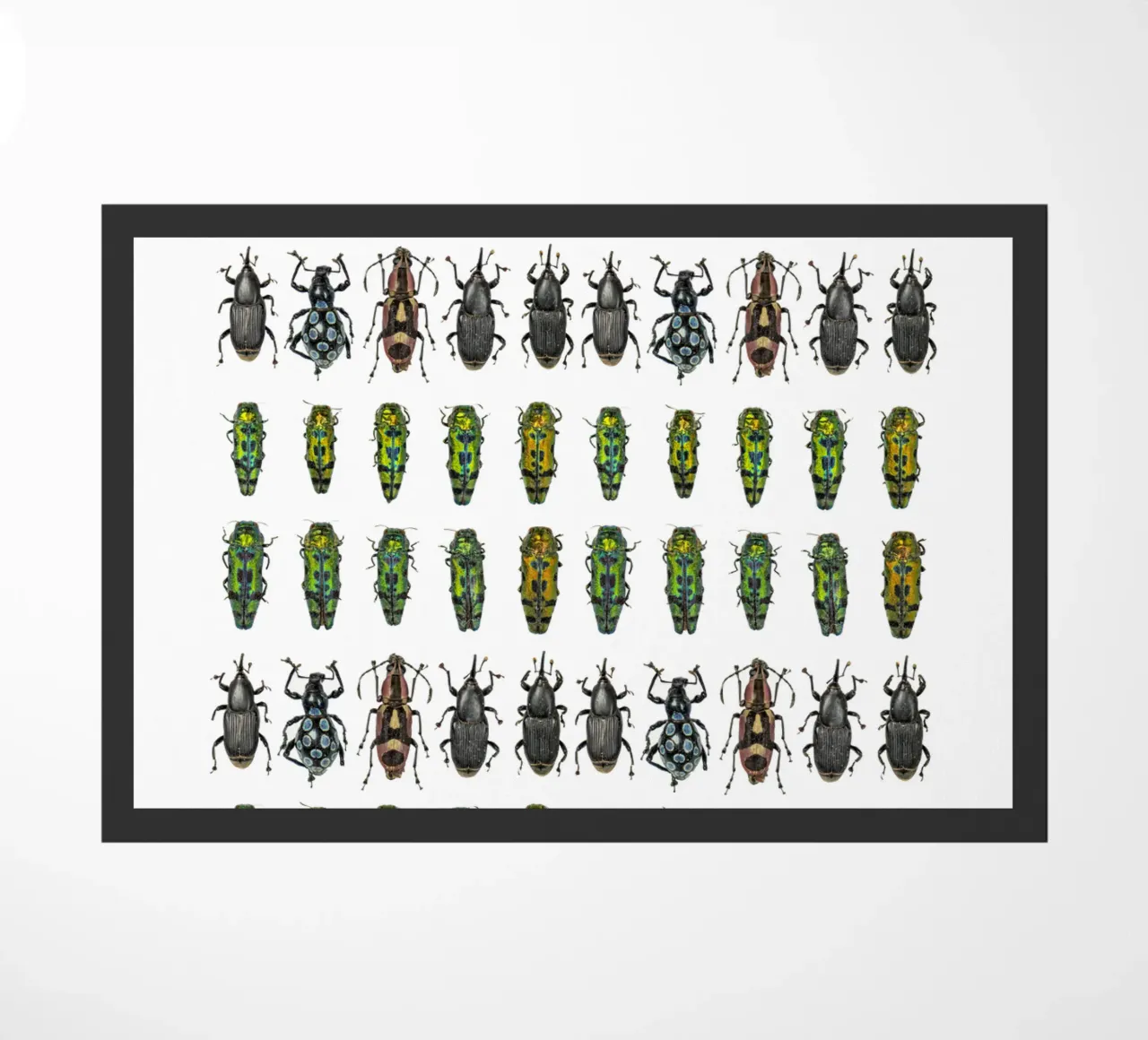 Tiny beetles doormat by Curious Collections by Marielle Leenders