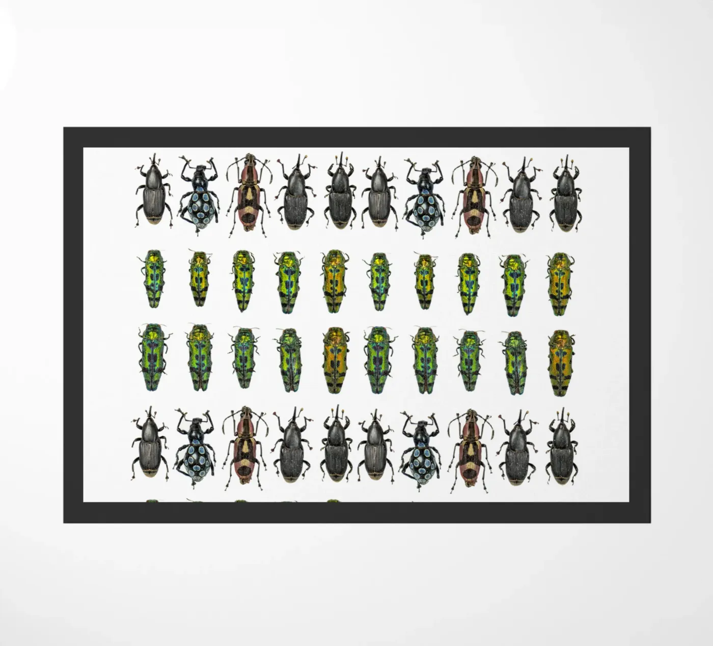 Tiny beetles paillasson de Curious Collections by Marielle Leenders