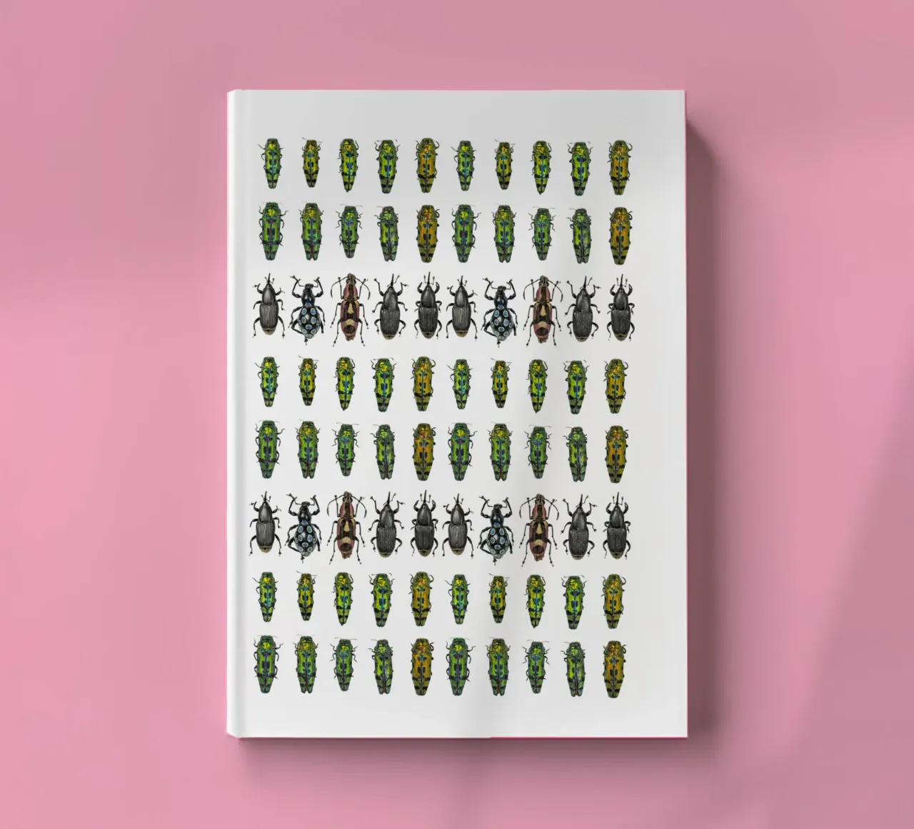 Tiny beetles notebook by Curious Collections by Marielle Leenders