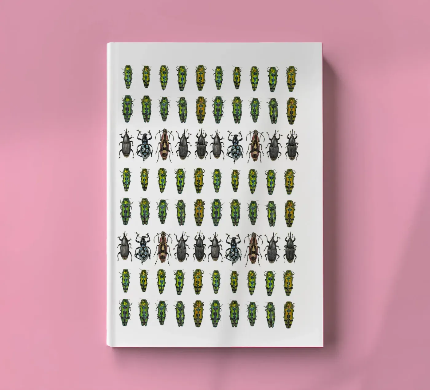 Tiny beetles notebook by Curious Collections by Marielle Leenders