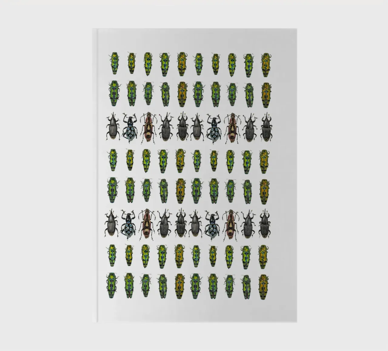 Tiny beetles notebook by Curious Collections by Marielle Leenders