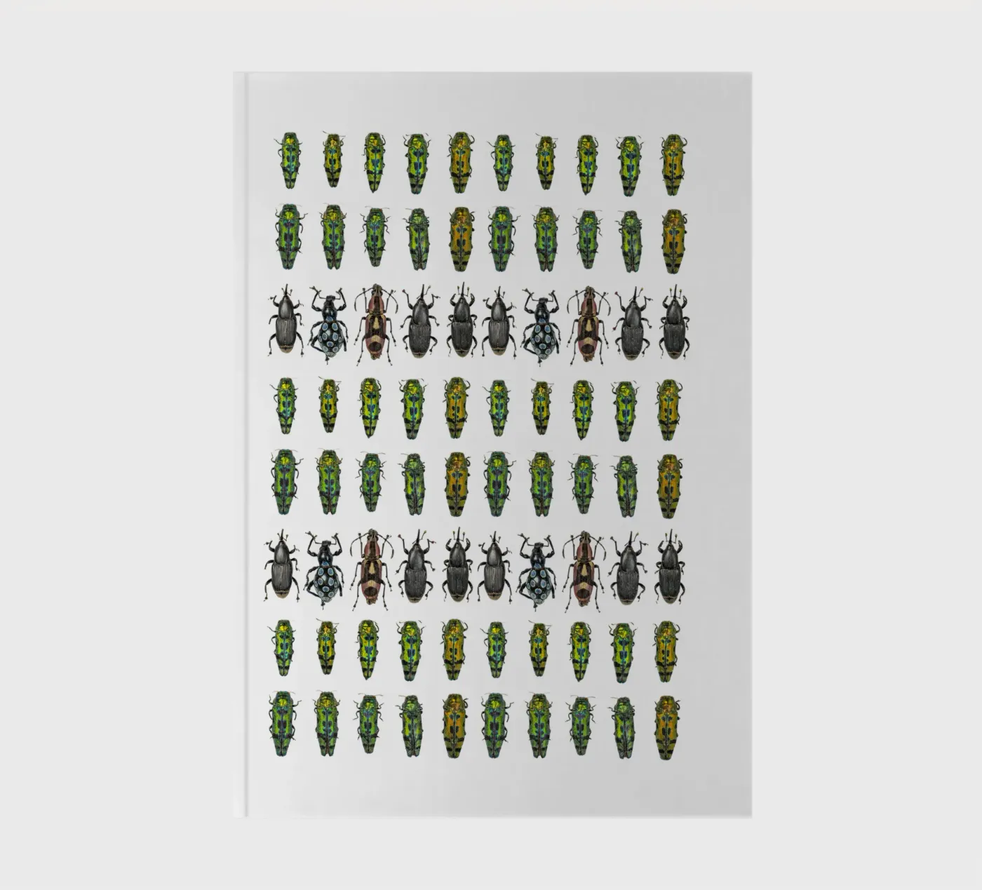 Tiny beetles notebook by Curious Collections by Marielle Leenders
