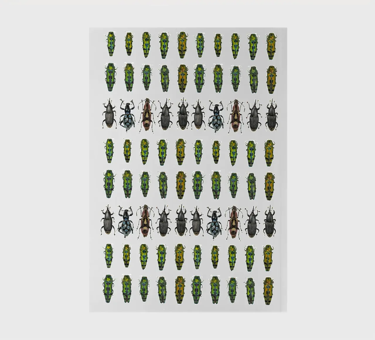 Tiny beetles notebook by Curious Collections by Marielle Leenders