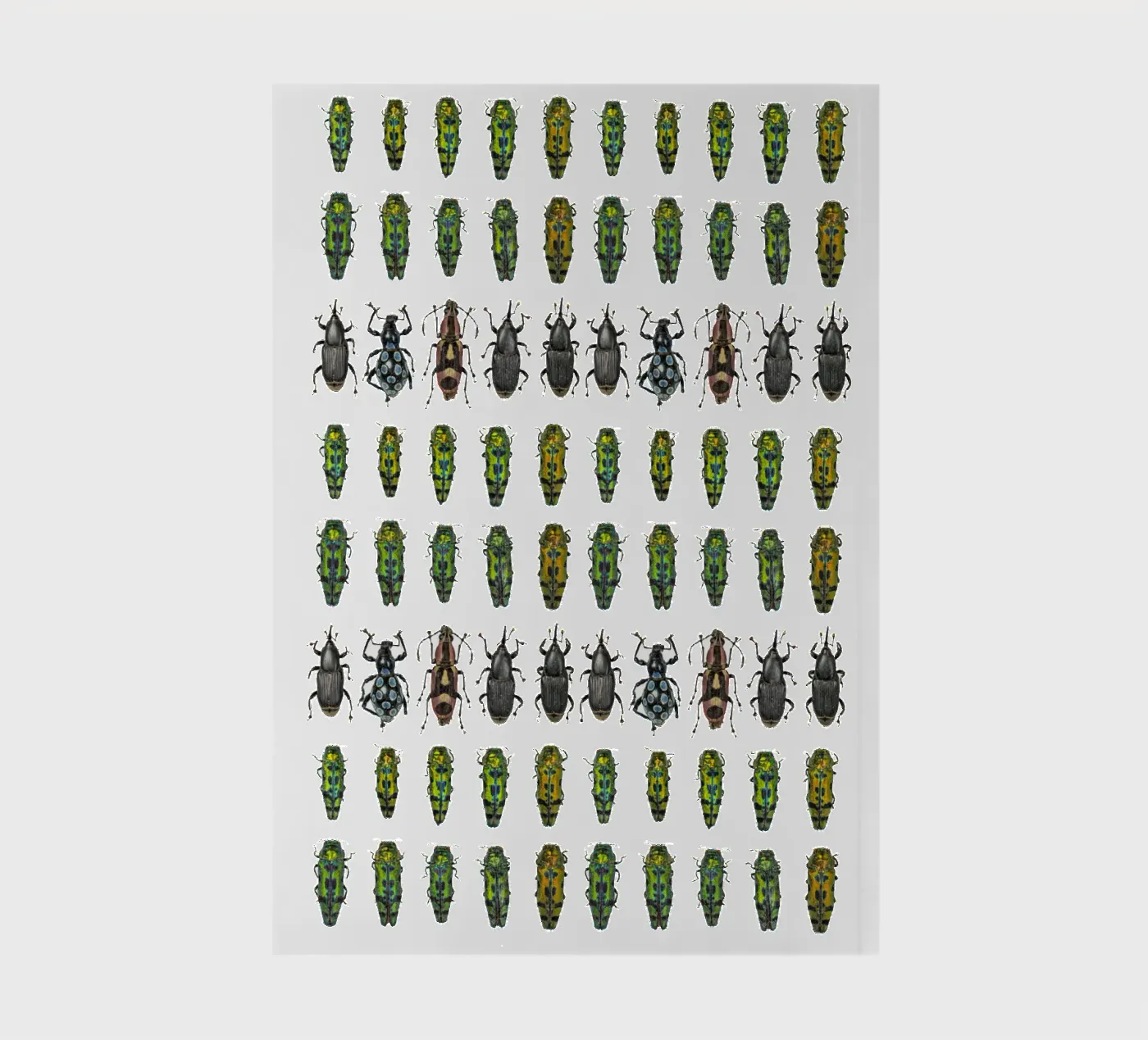 Tiny beetles notebook by Curious Collections by Marielle Leenders