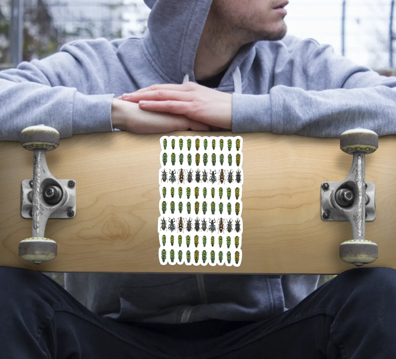 Tiny beetles sticker by Curious Collections by Marielle Leenders