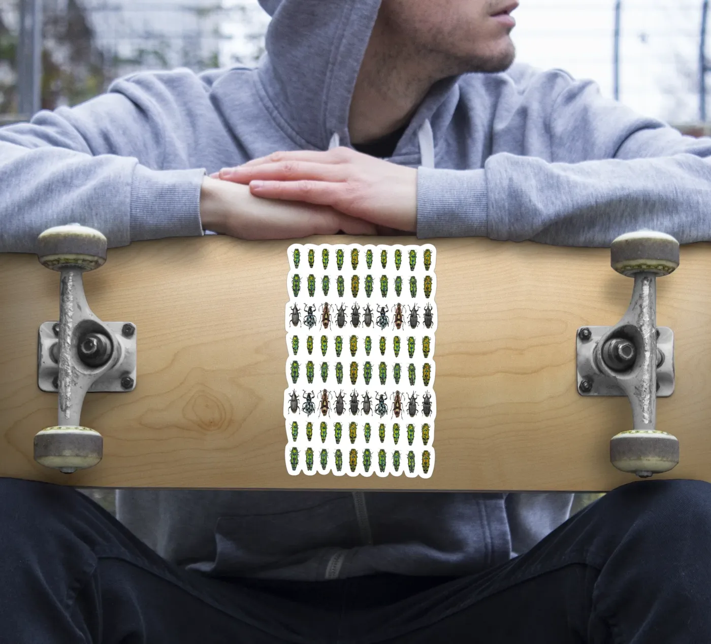 Piccoli coleotteri adesivo da Curious Collections by Marielle Leenders