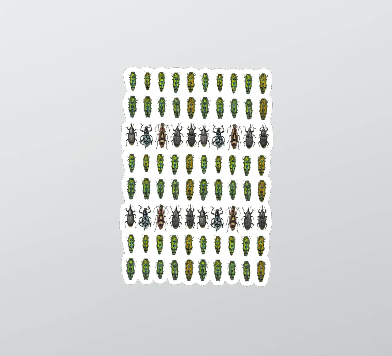 Tiny beetles sticker by Curious Collections by Marielle Leenders