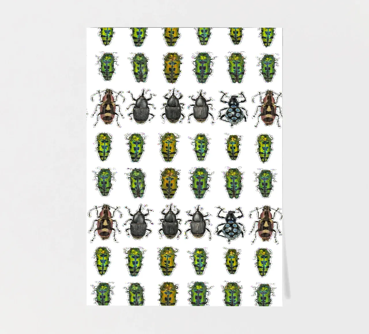 Tiny beetles sticker sheet by Curious Collections by Marielle Leenders