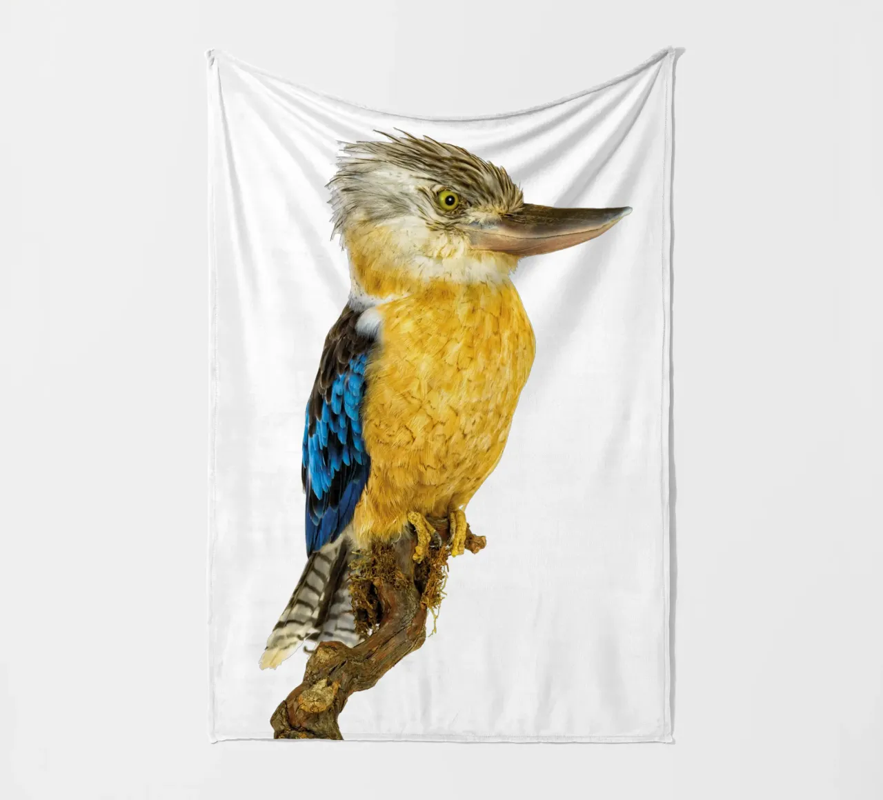 Kookaburra coperta in pile da Curious Collections by Marielle Leenders