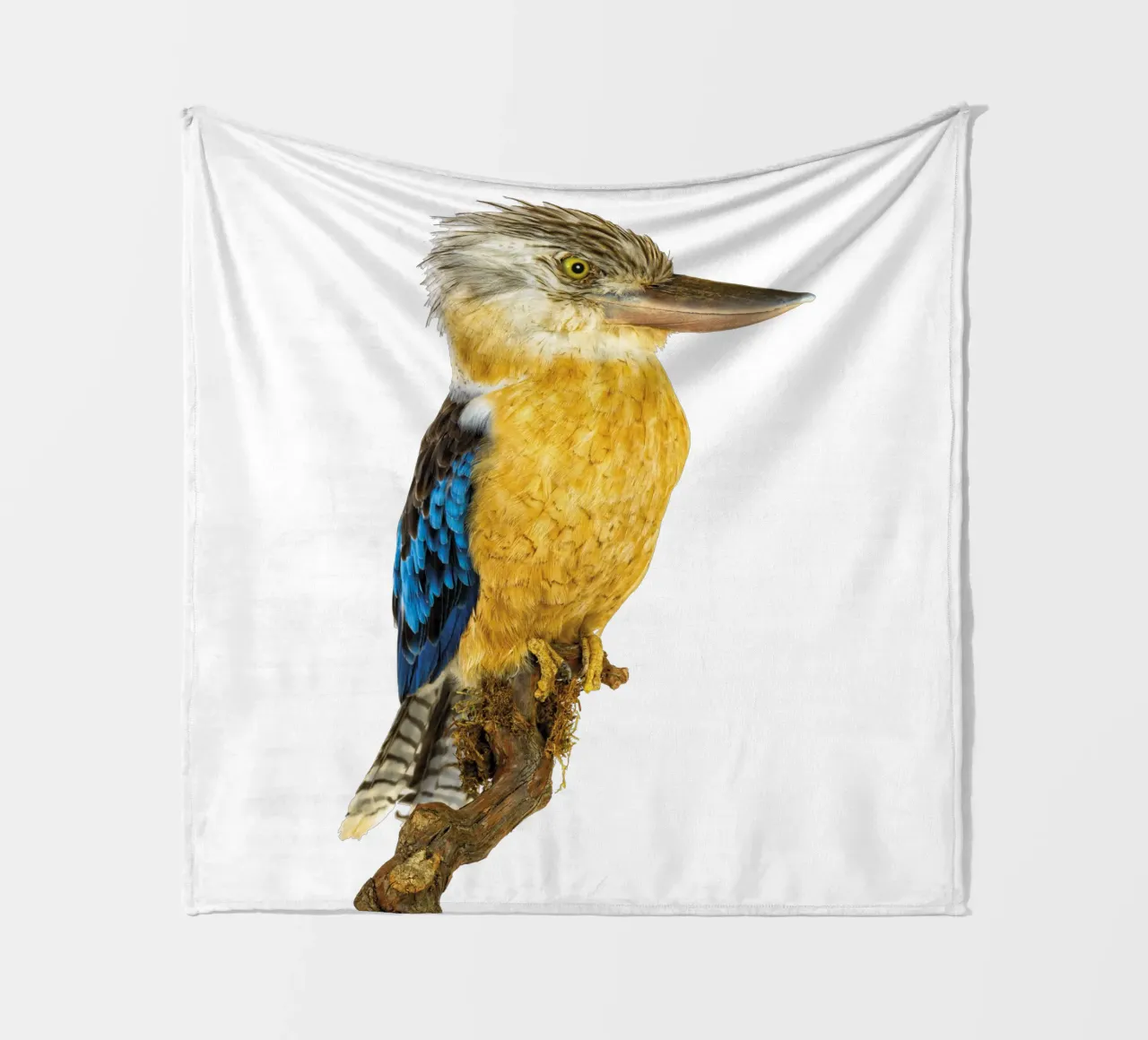 Kookaburra coperta in pile da Curious Collections by Marielle Leenders