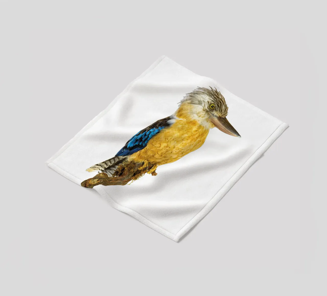 Kookaburra coperta in pile da Curious Collections by Marielle Leenders