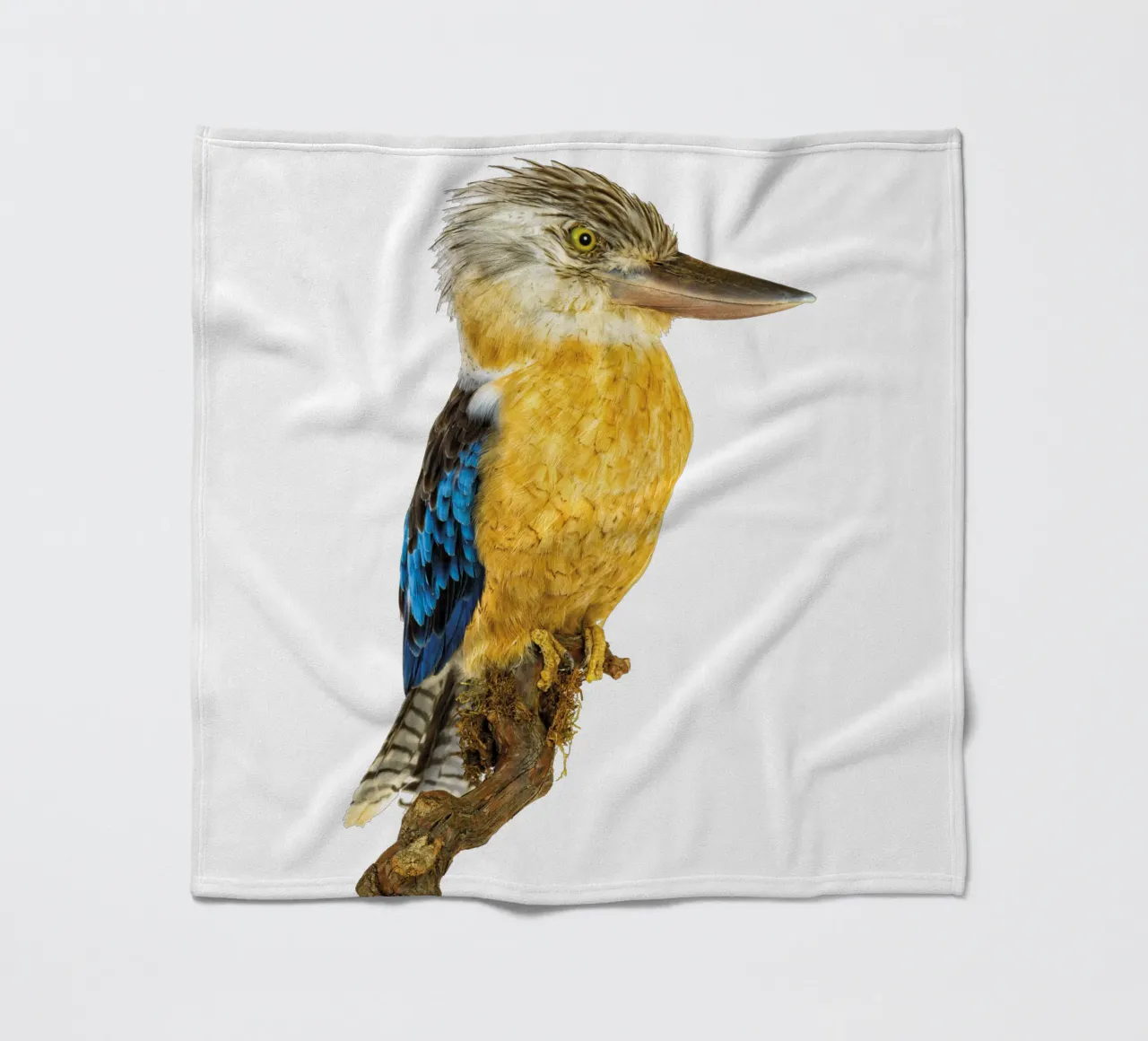 Kookaburra coperta in pile da Curious Collections by Marielle Leenders