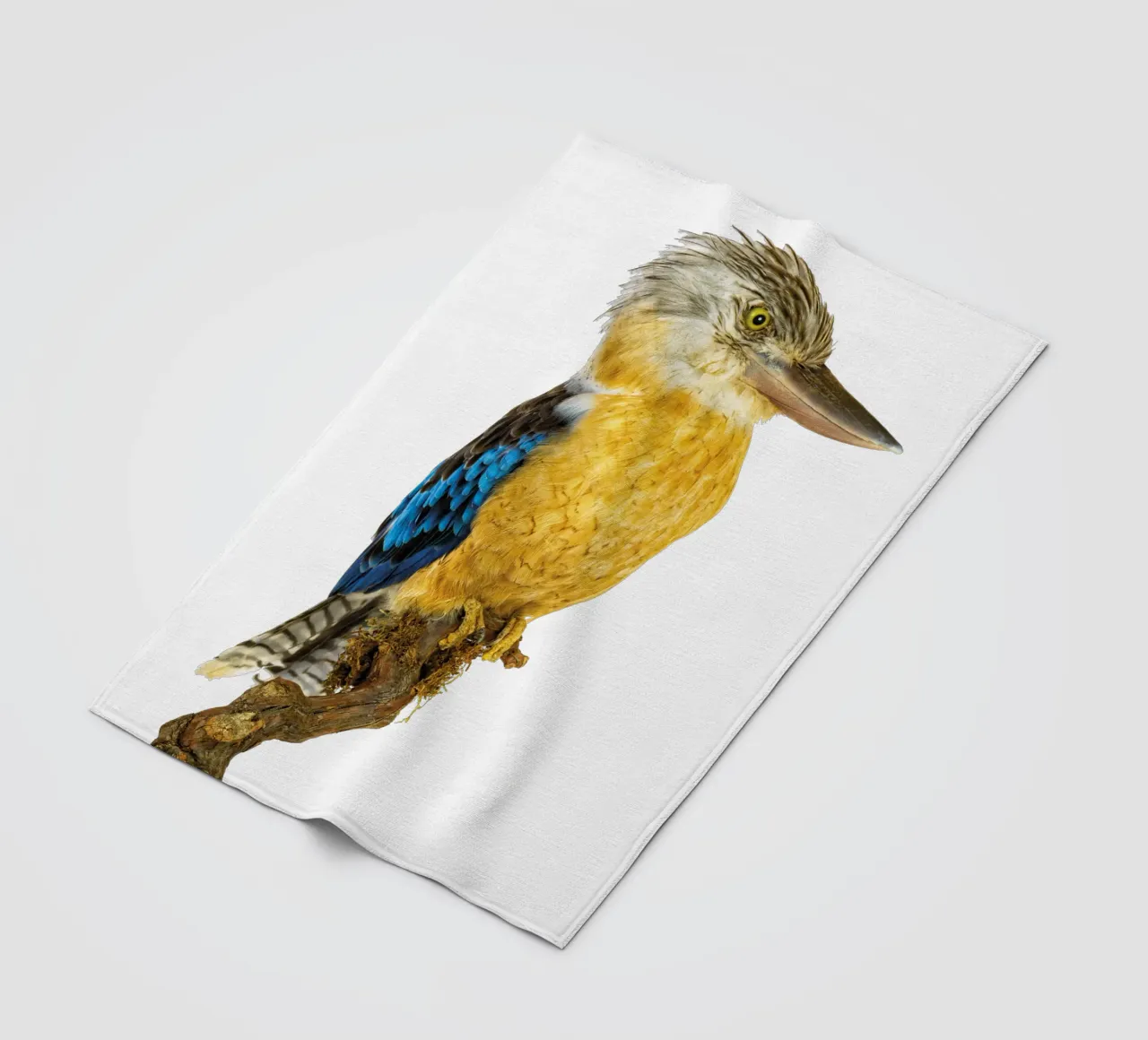 Kookaburra coperta in pile da Curious Collections by Marielle Leenders