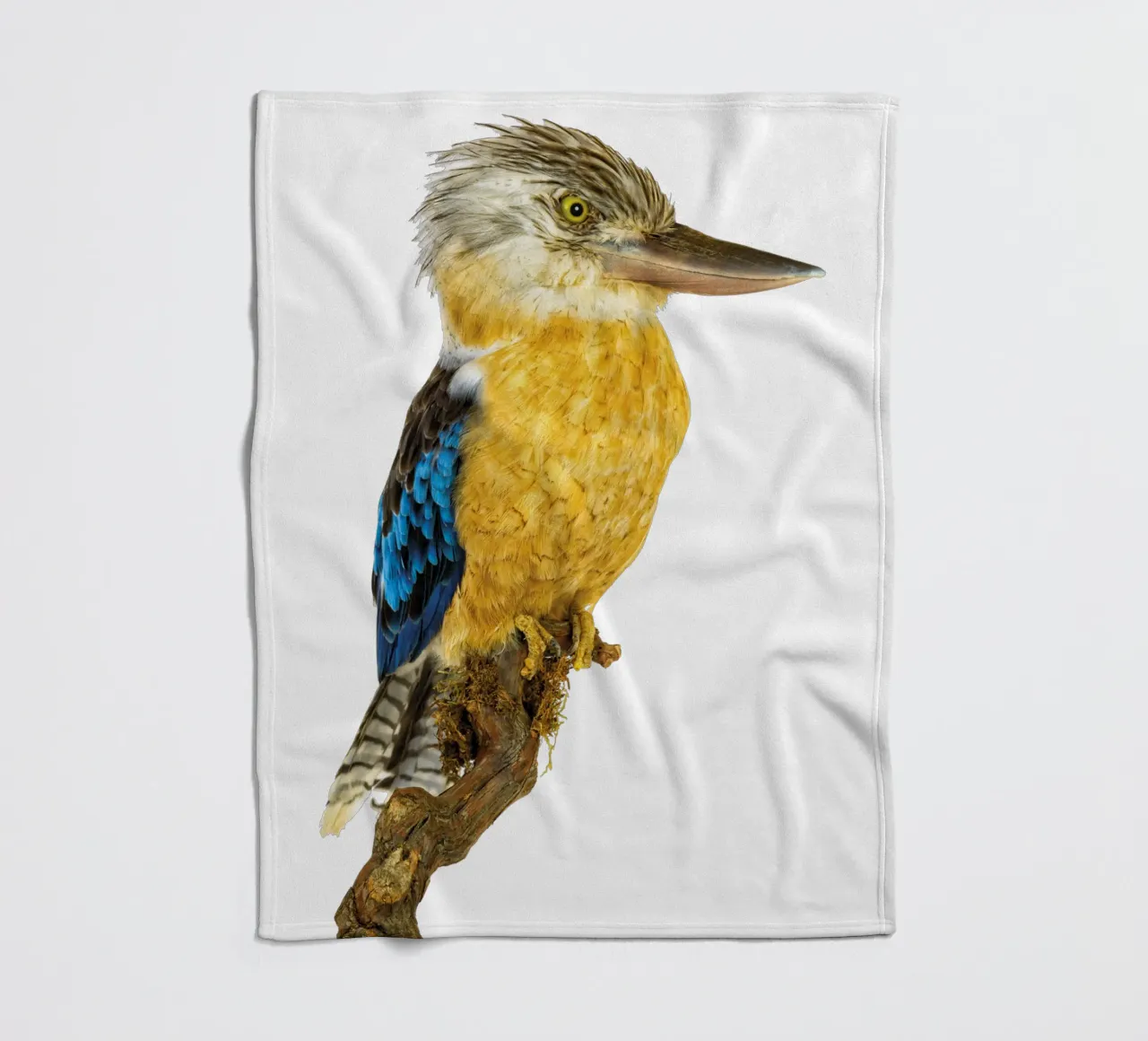 Kookaburra coperta in pile da Curious Collections by Marielle Leenders