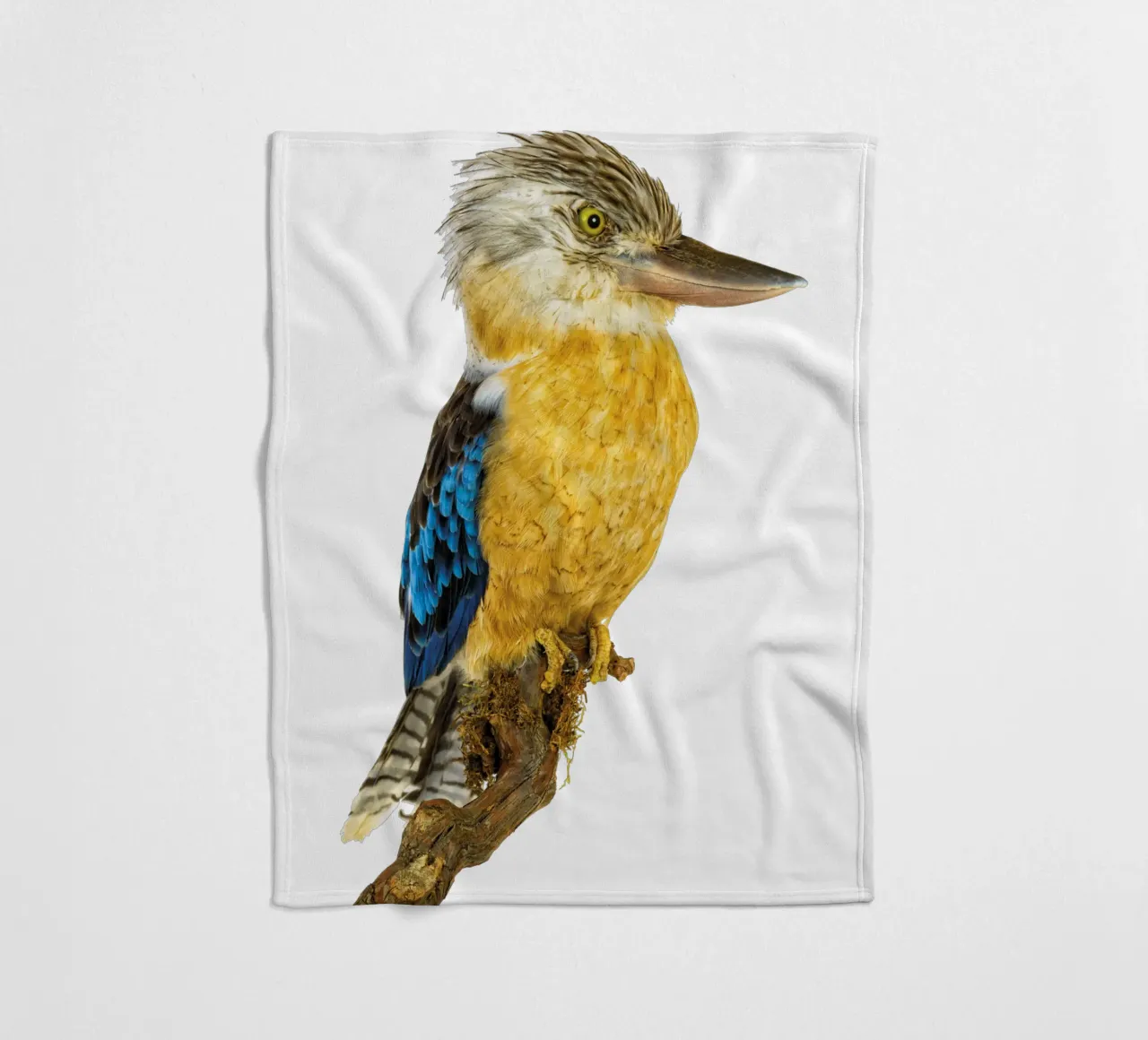 Kookaburra coperta in pile da Curious Collections by Marielle Leenders