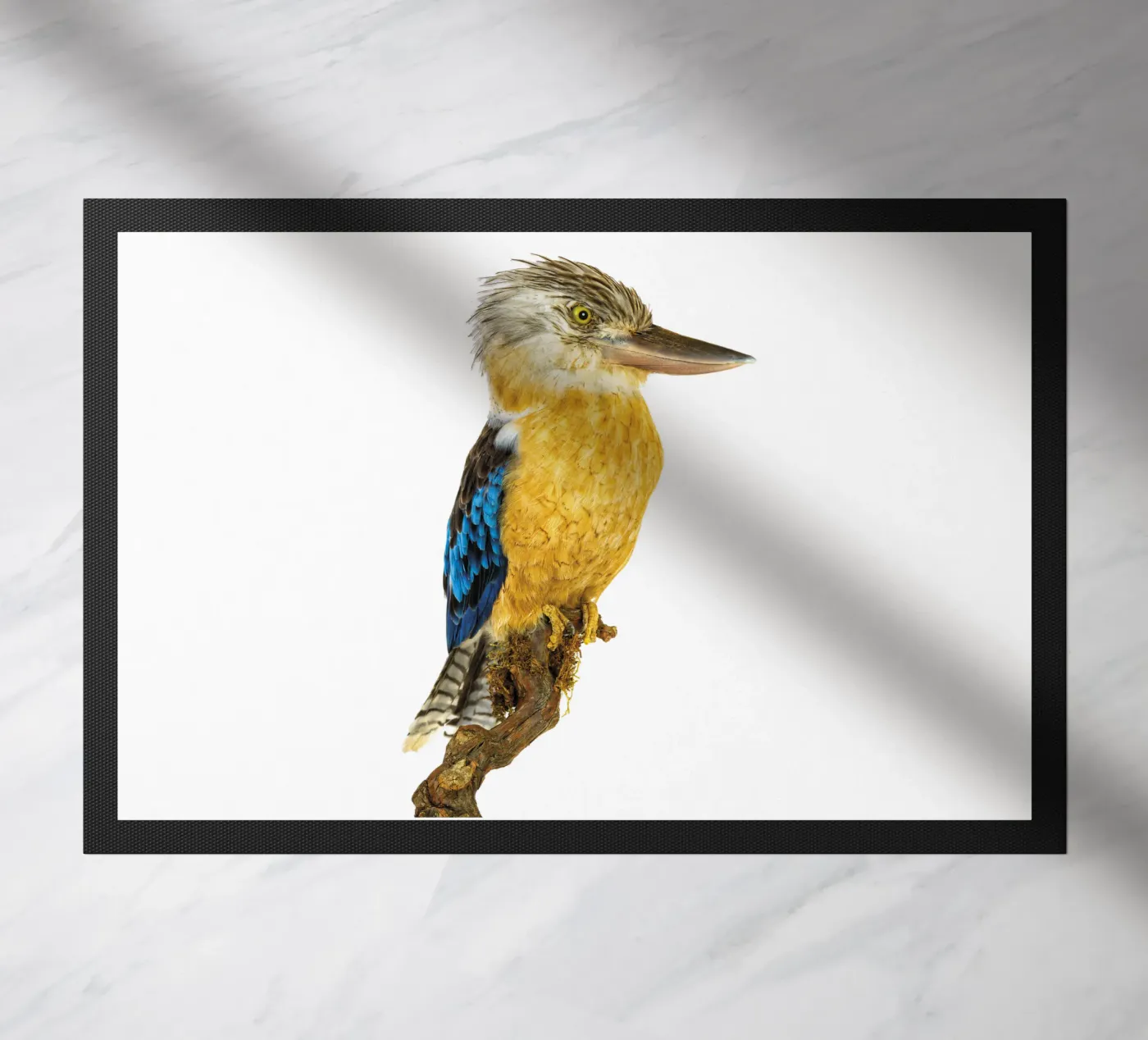 Kookaburra doormat by Curious Collections by Marielle Leenders