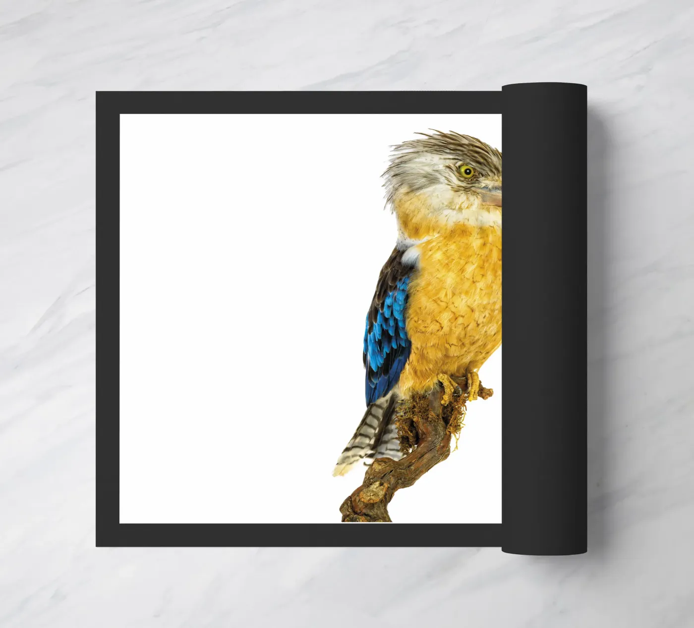 Kookaburra doormat by Curious Collections by Marielle Leenders