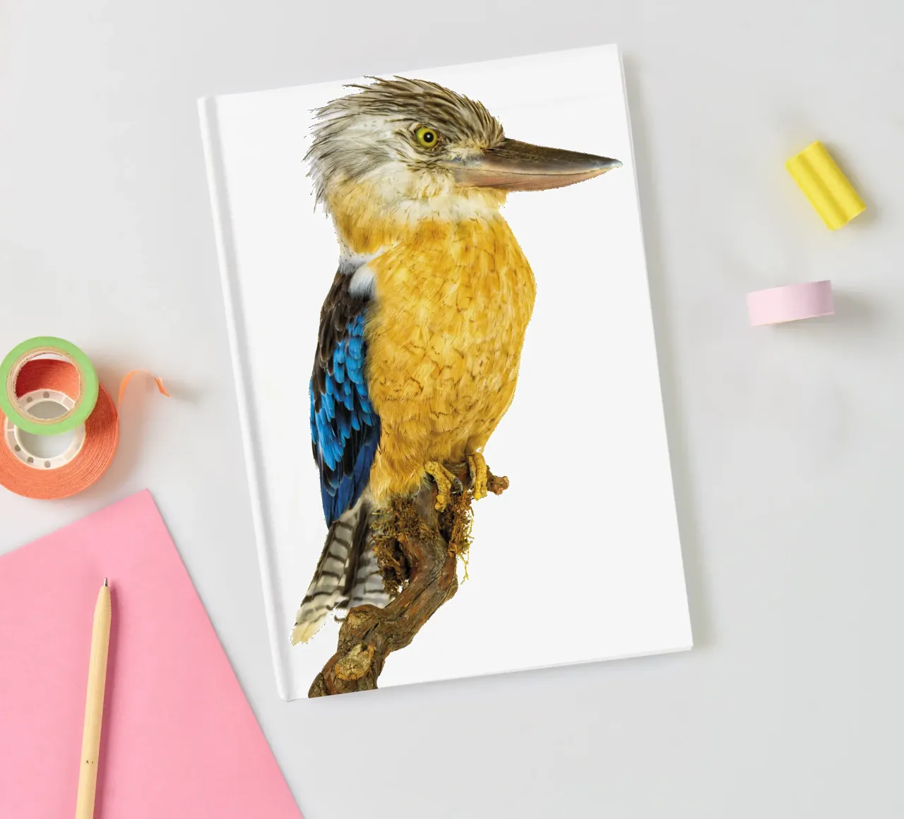 Kookaburra notebook by Curious Collections by Marielle Leenders
