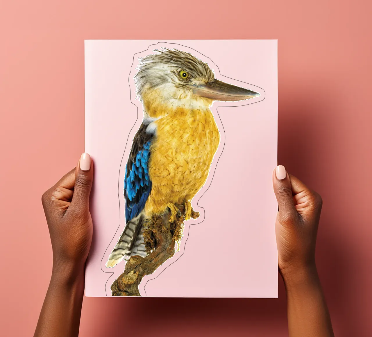 Kookaburra sticker sheet by Curious Collections by Marielle Leenders