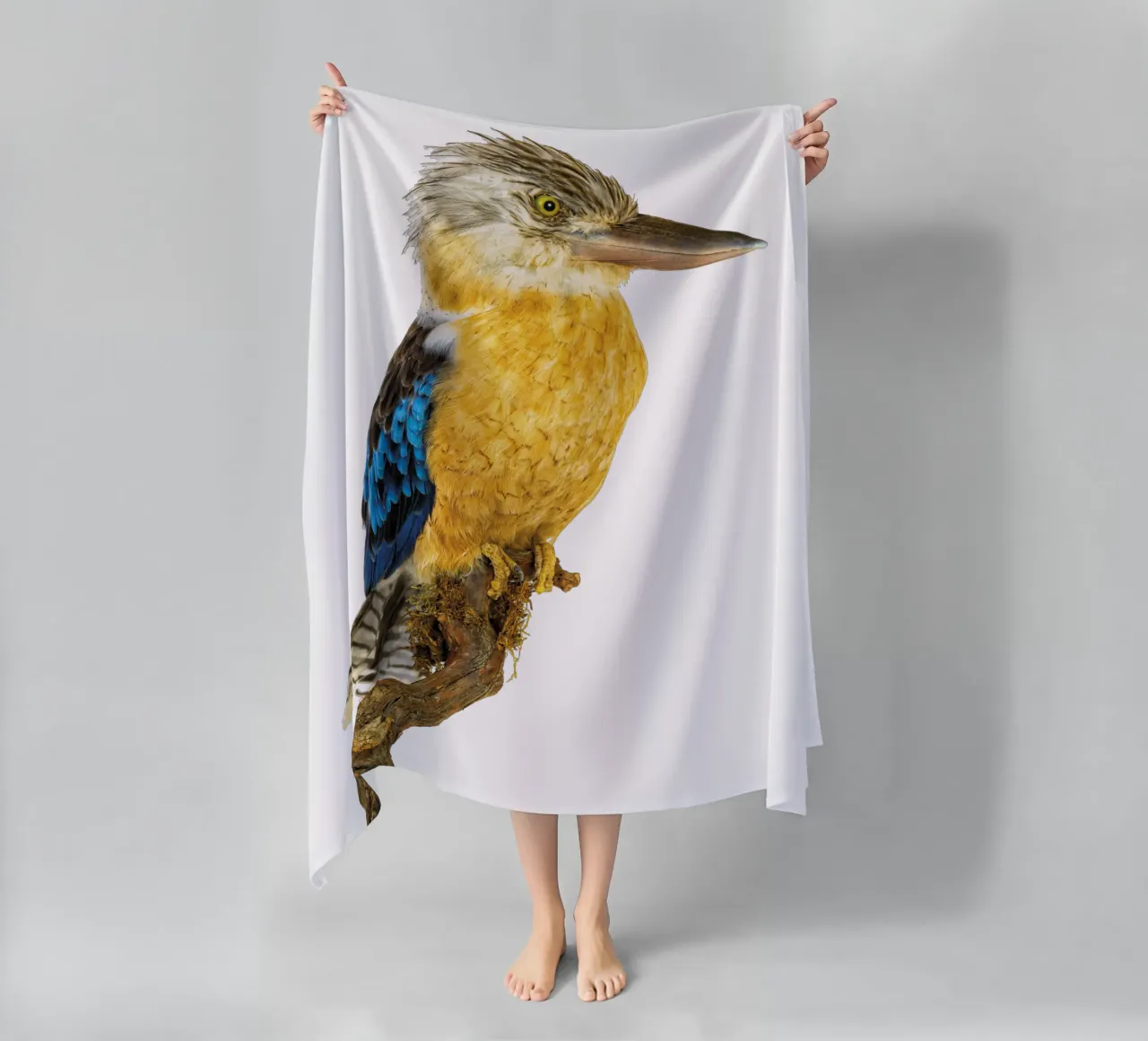 Kookaburra telo mare da Curious Collections by Marielle Leenders