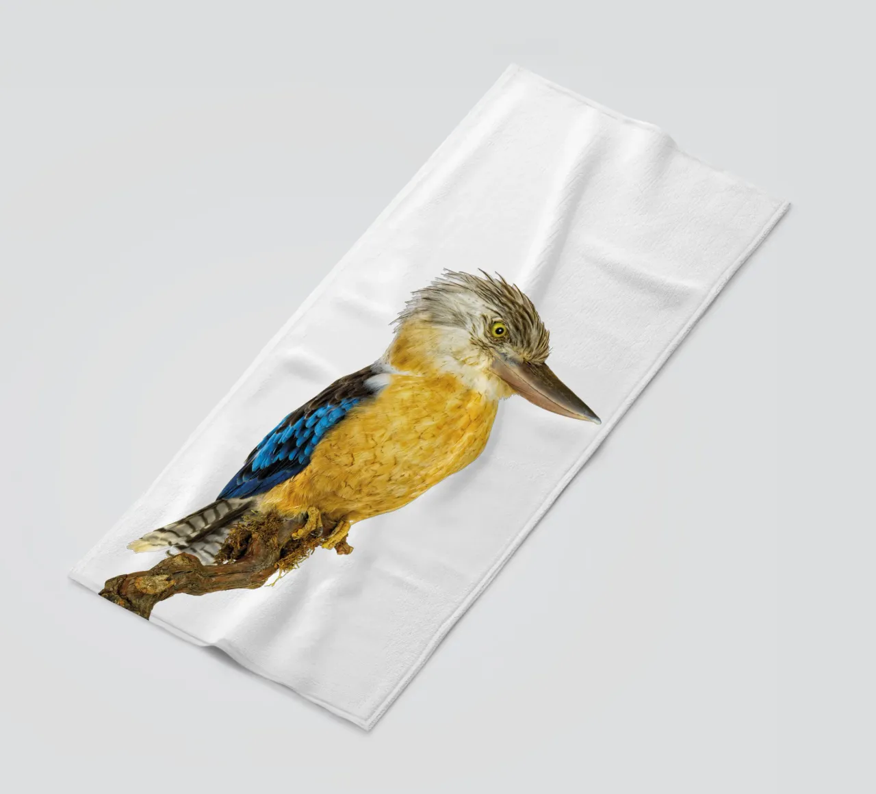 Kookaburra telo mare da Curious Collections by Marielle Leenders