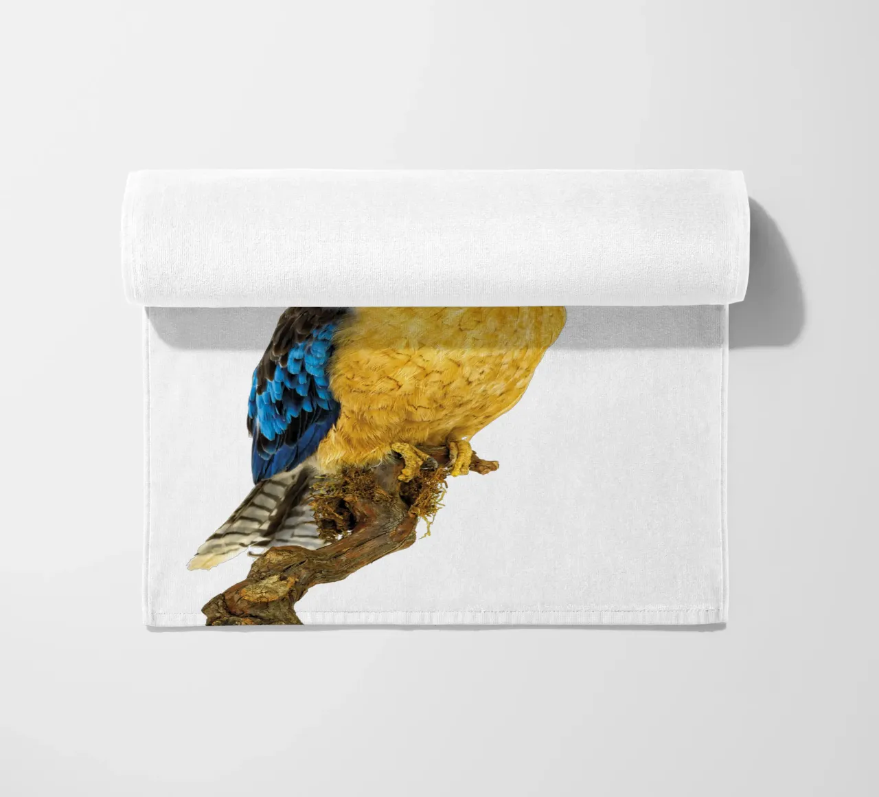 Kookaburra telo mare da Curious Collections by Marielle Leenders
