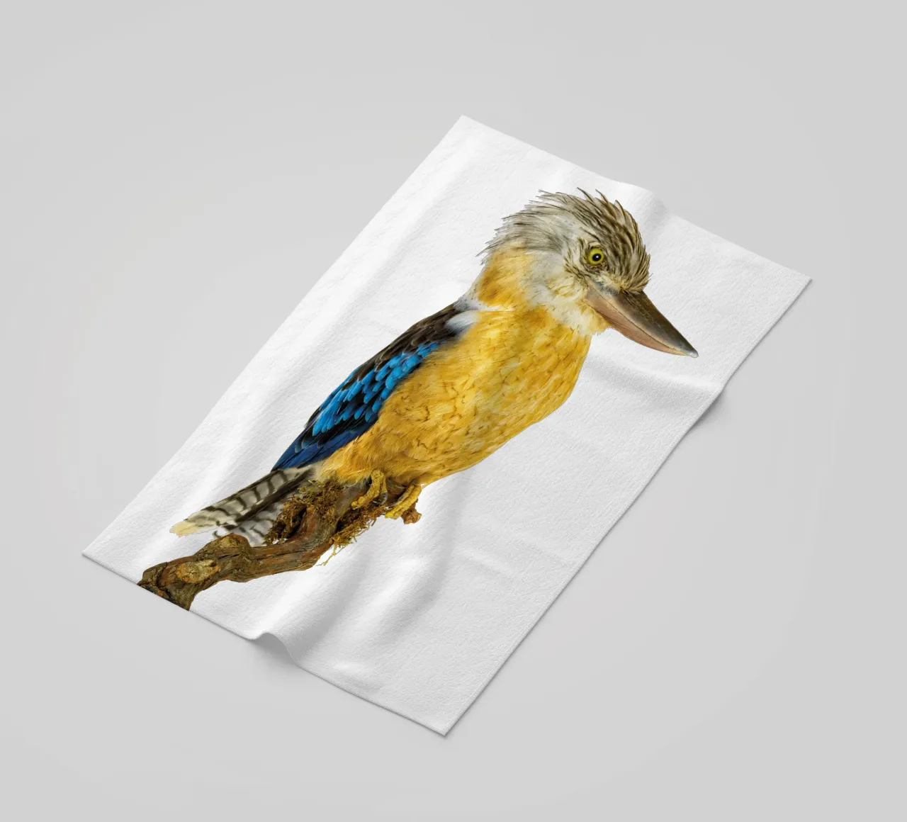 Kookaburra telo mare da Curious Collections by Marielle Leenders