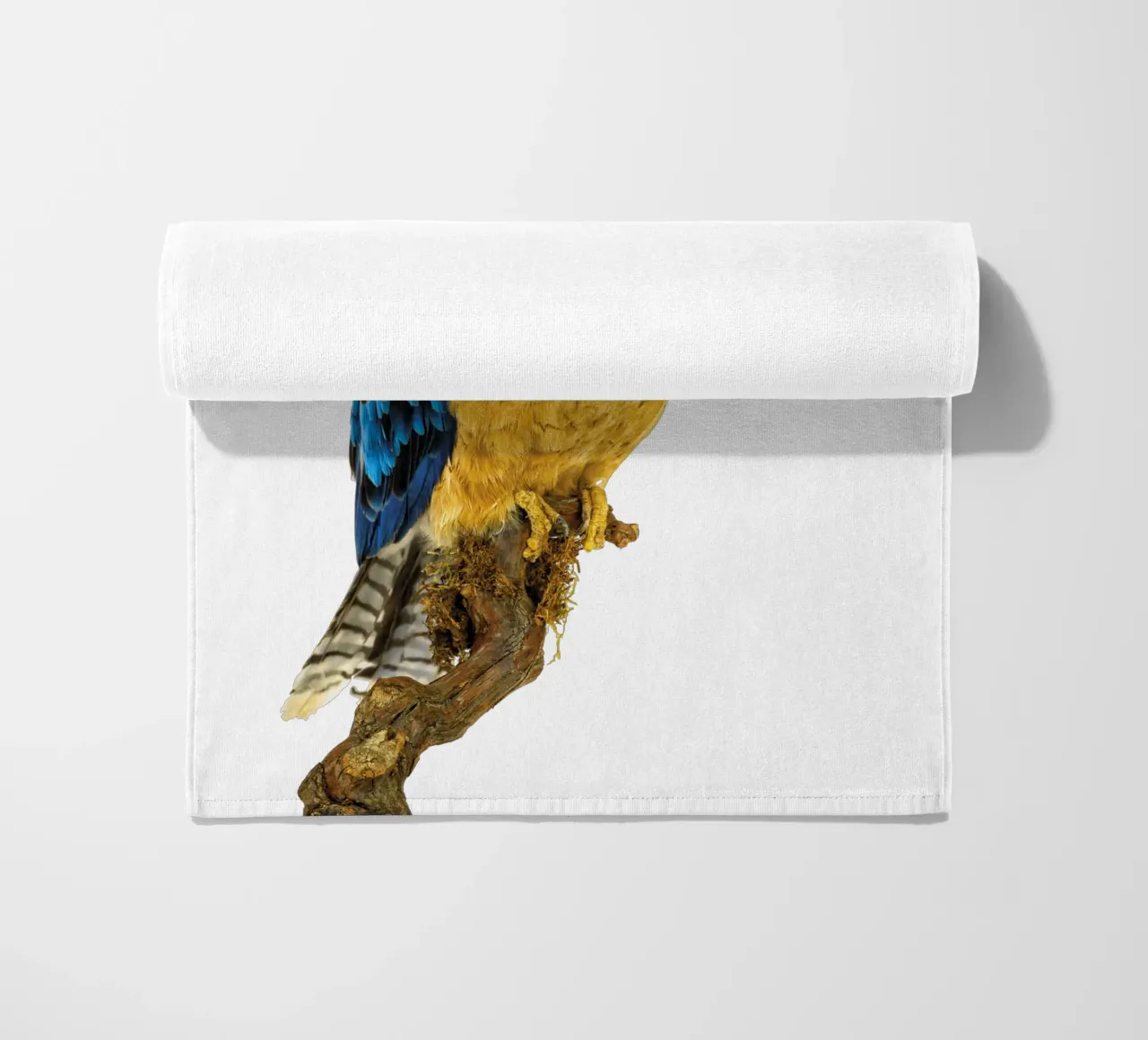 Kookaburra telo mare da Curious Collections by Marielle Leenders