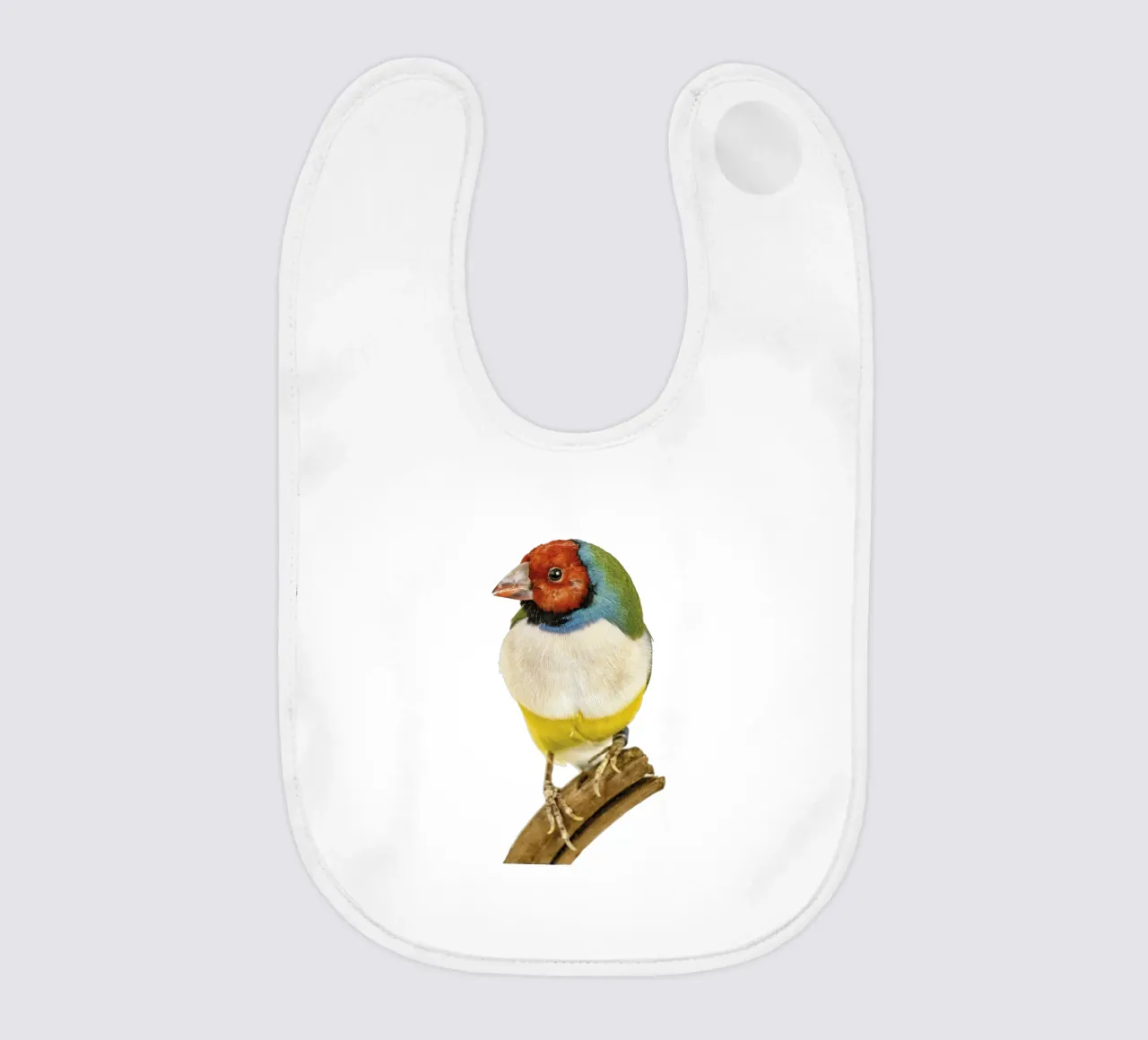 Uccello di gloudamadina bavaglino da Curious Collections by Marielle Leenders