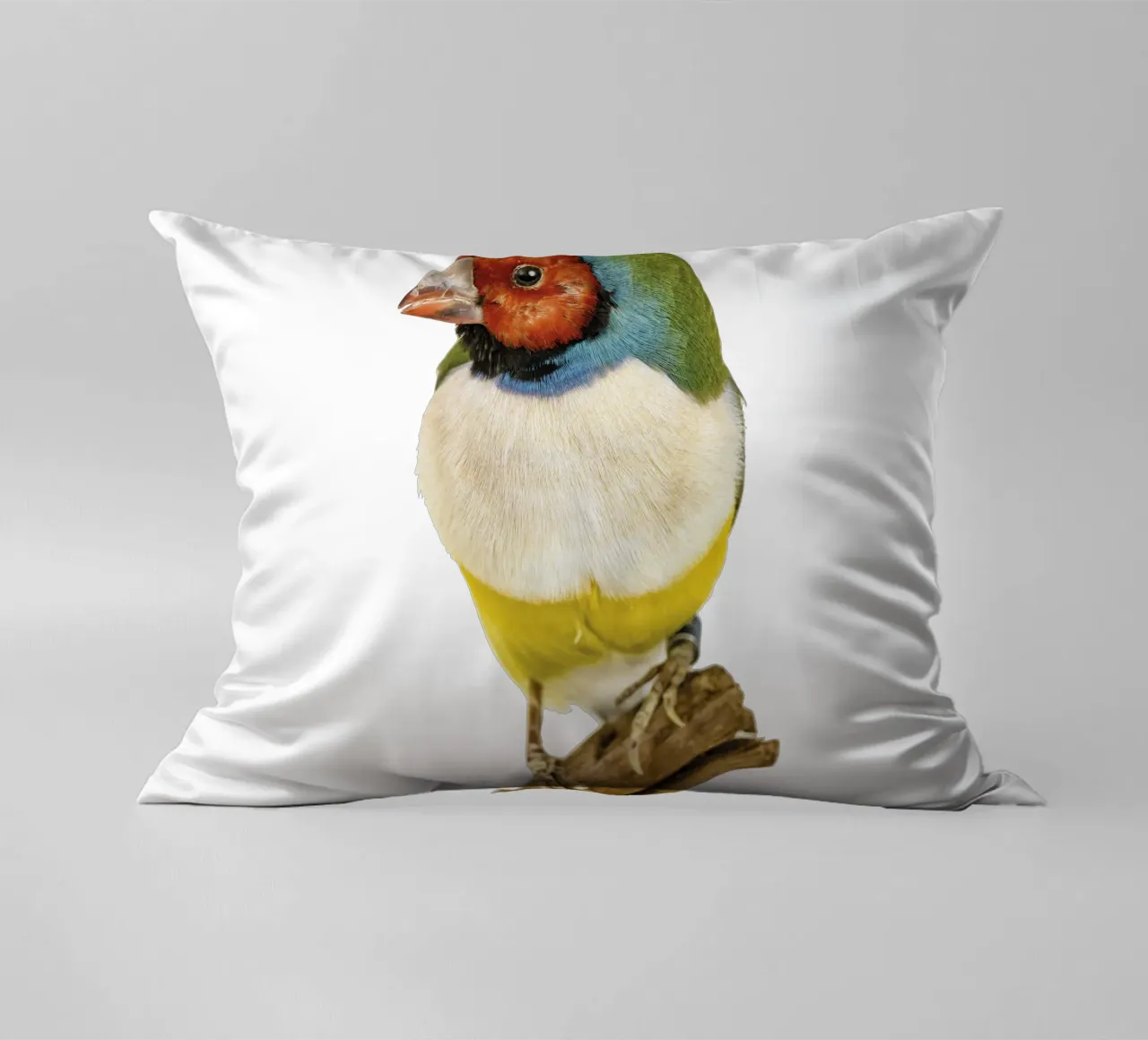 Uccello di gloudamadina cuscino da Curious Collections by Marielle Leenders