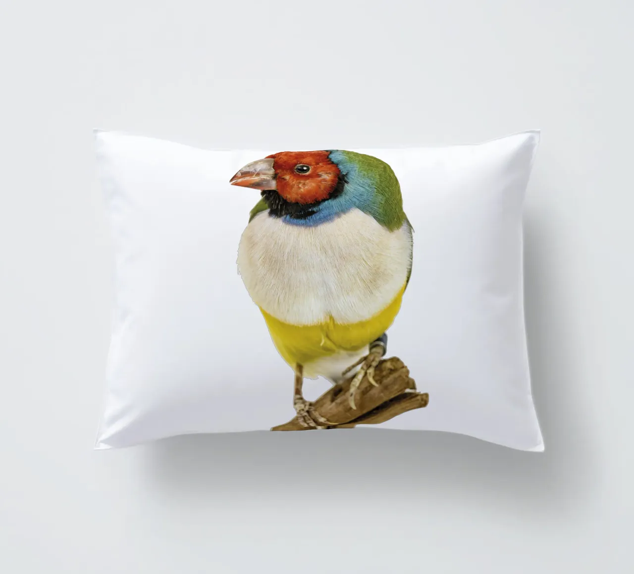 Uccello di gloudamadina cuscino da Curious Collections by Marielle Leenders