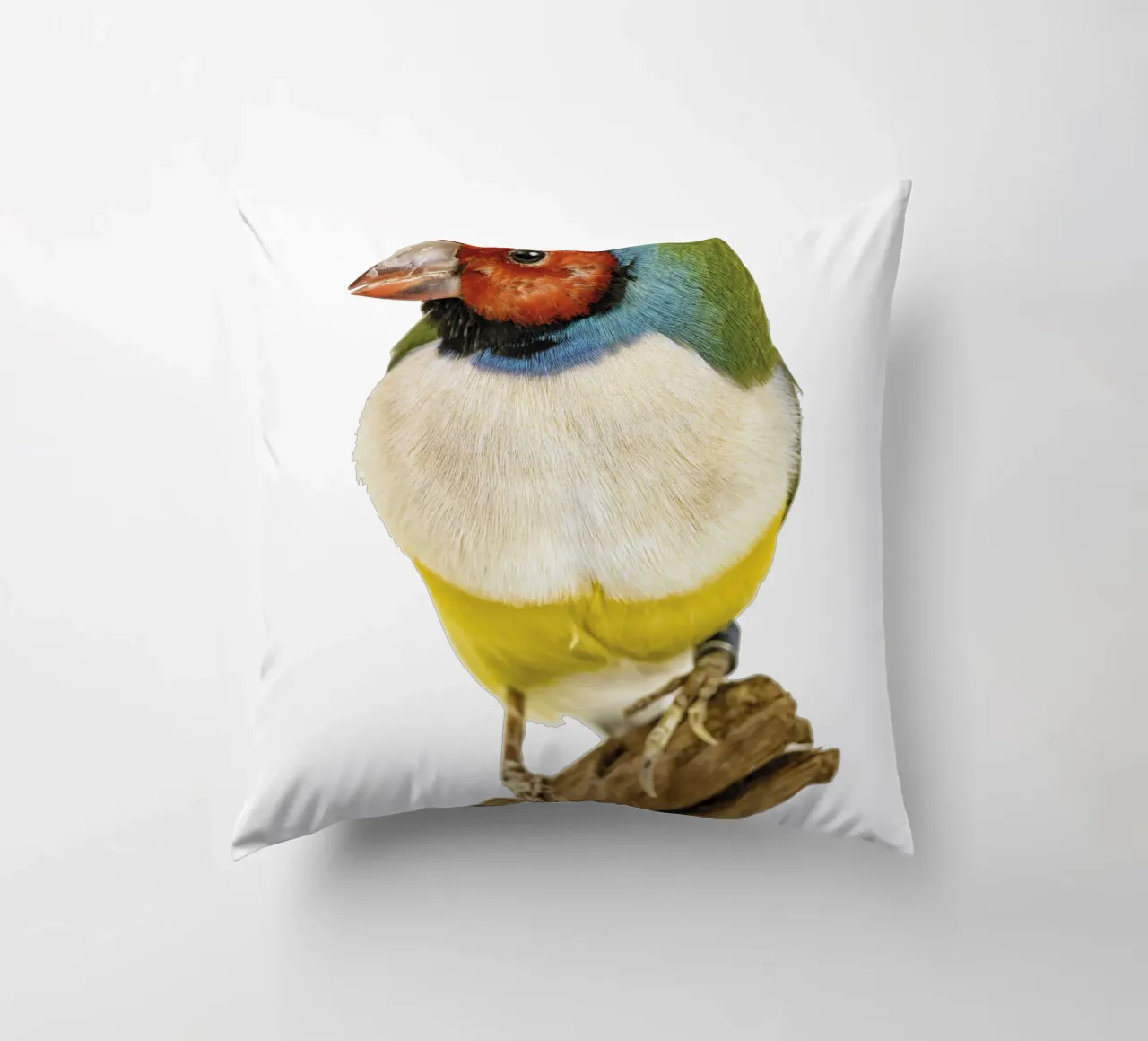 Uccello di gloudamadina cuscino da Curious Collections by Marielle Leenders
