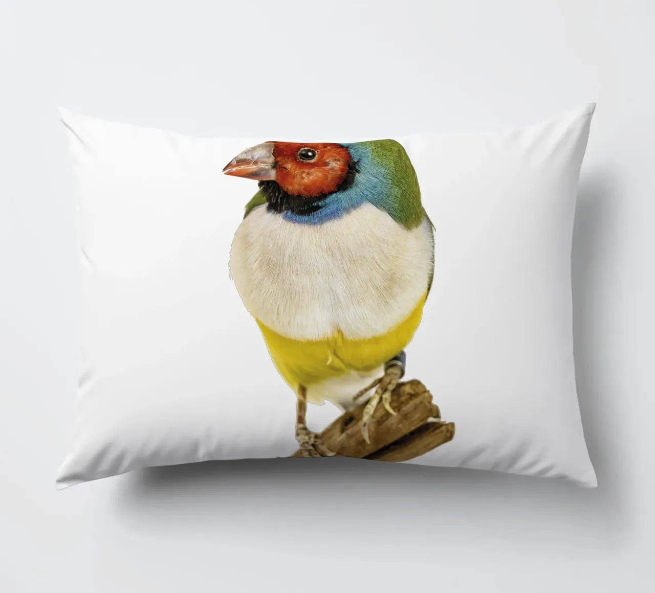 Uccello di gloudamadina cuscino da Curious Collections by Marielle Leenders