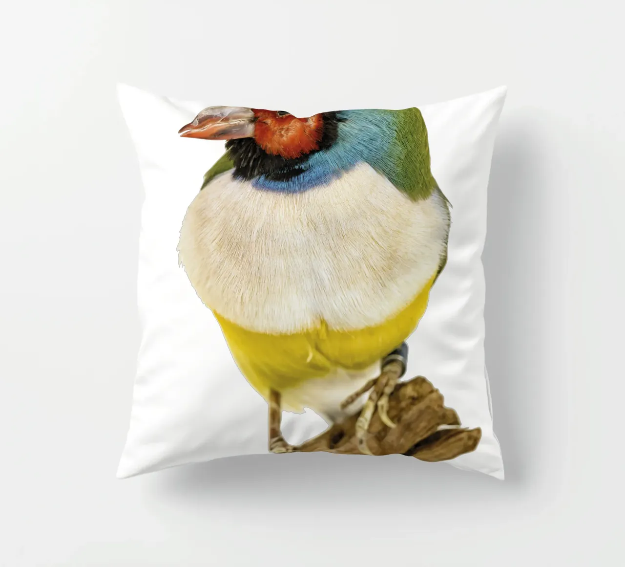 Uccello di gloudamadina cuscino da Curious Collections by Marielle Leenders