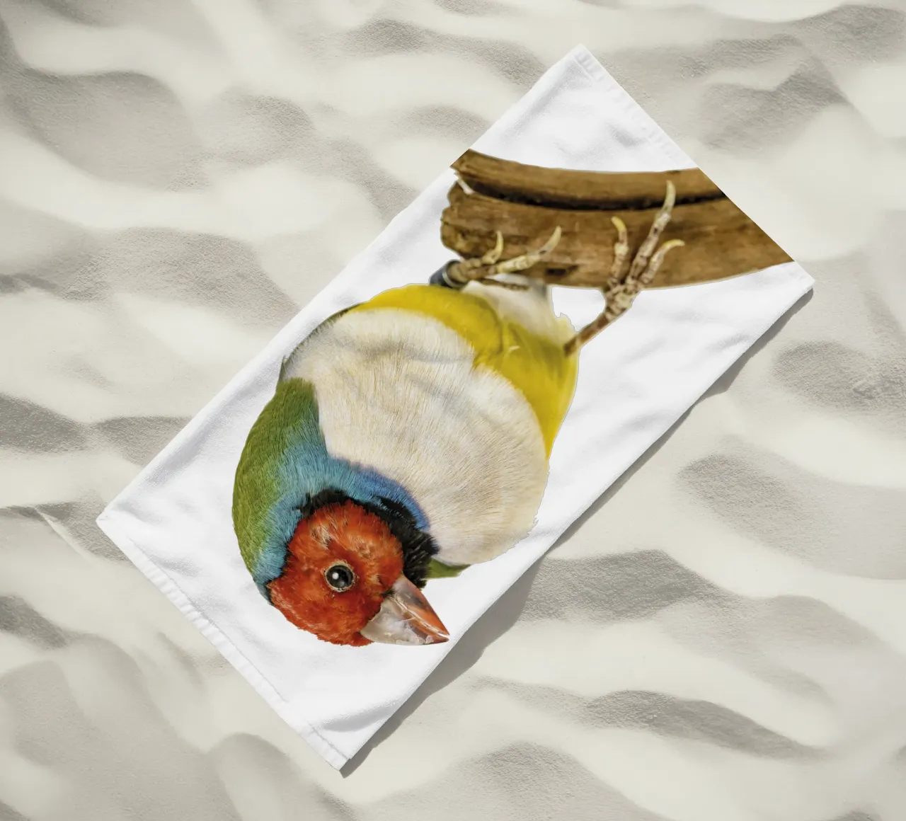 Uccello di gloudamadina telo mare da Curious Collections by Marielle Leenders