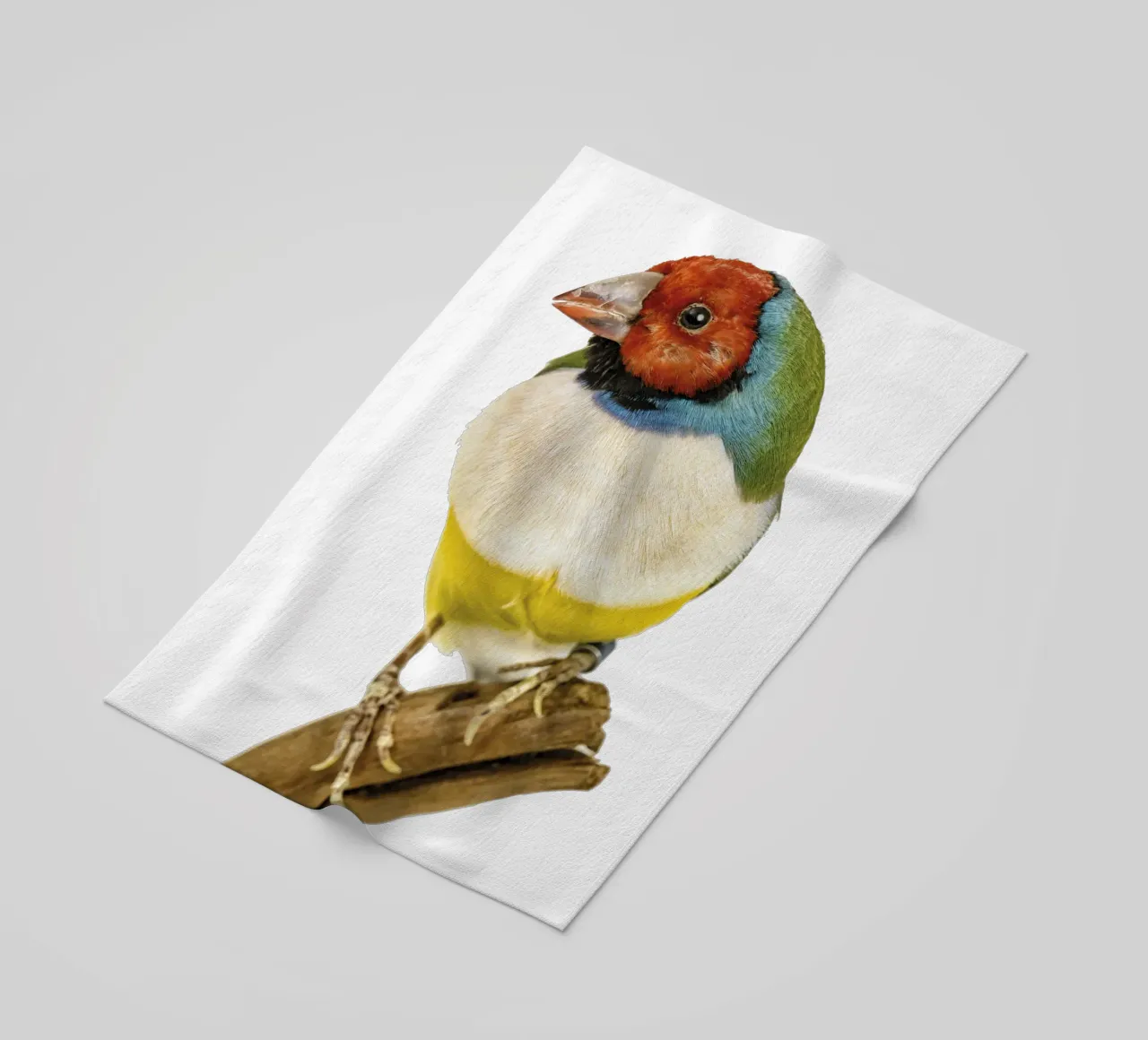 Uccello di gloudamadina telo mare da Curious Collections by Marielle Leenders