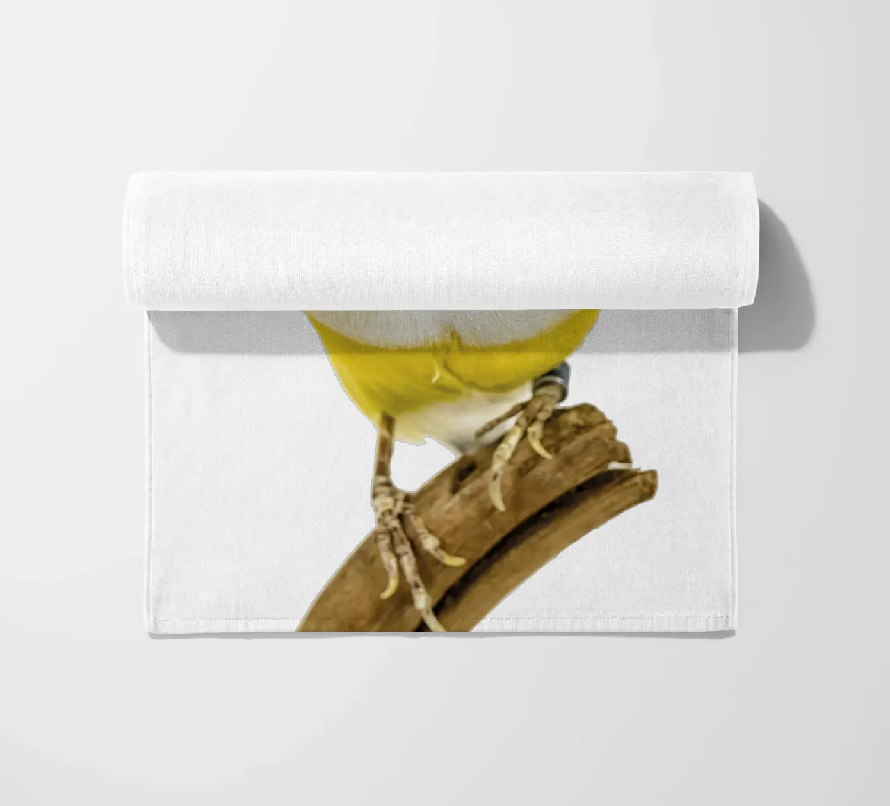 Uccello di gloudamadina telo mare da Curious Collections by Marielle Leenders