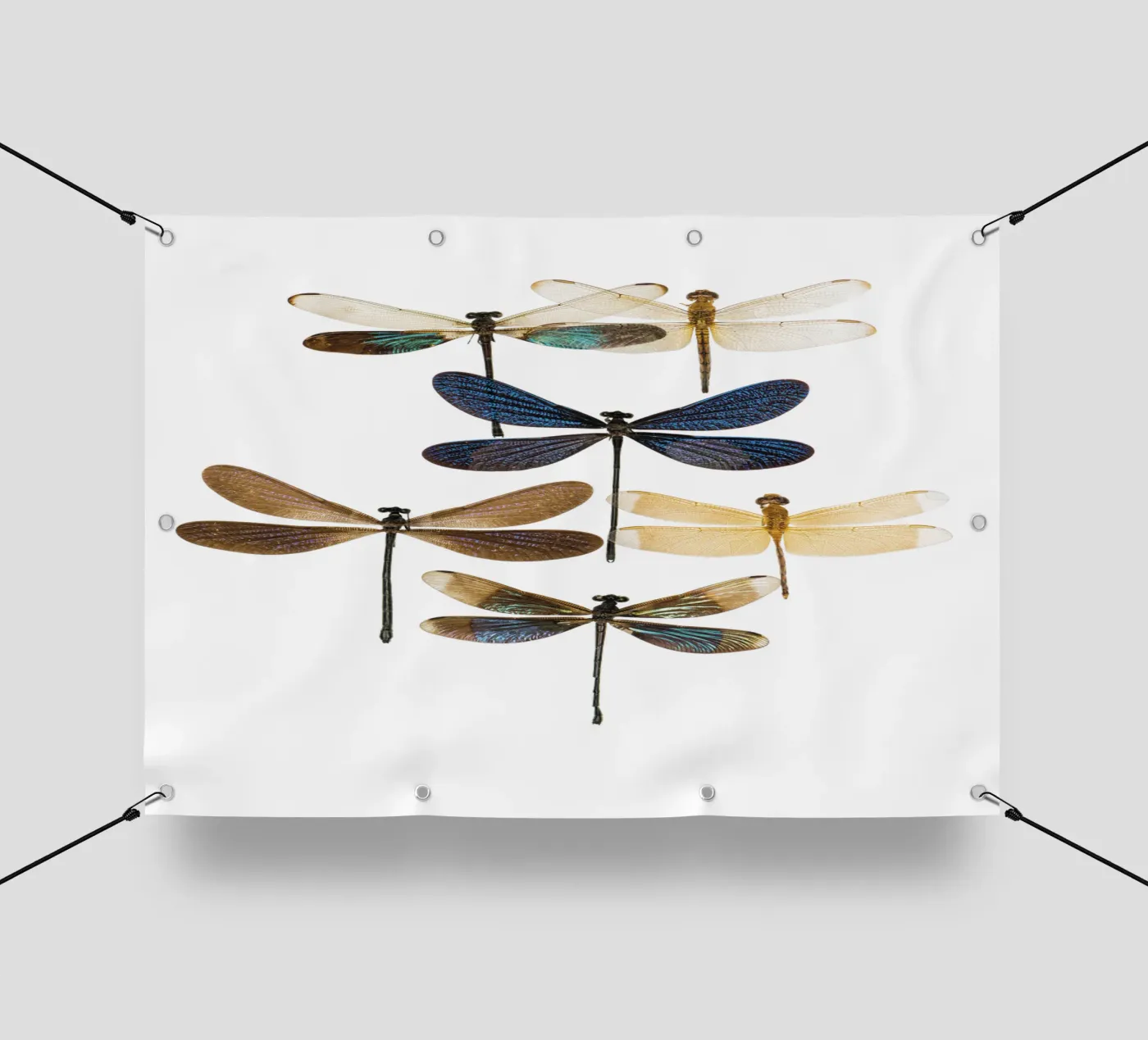 Libellule telo in pvc da Curious Collections by Marielle Leenders