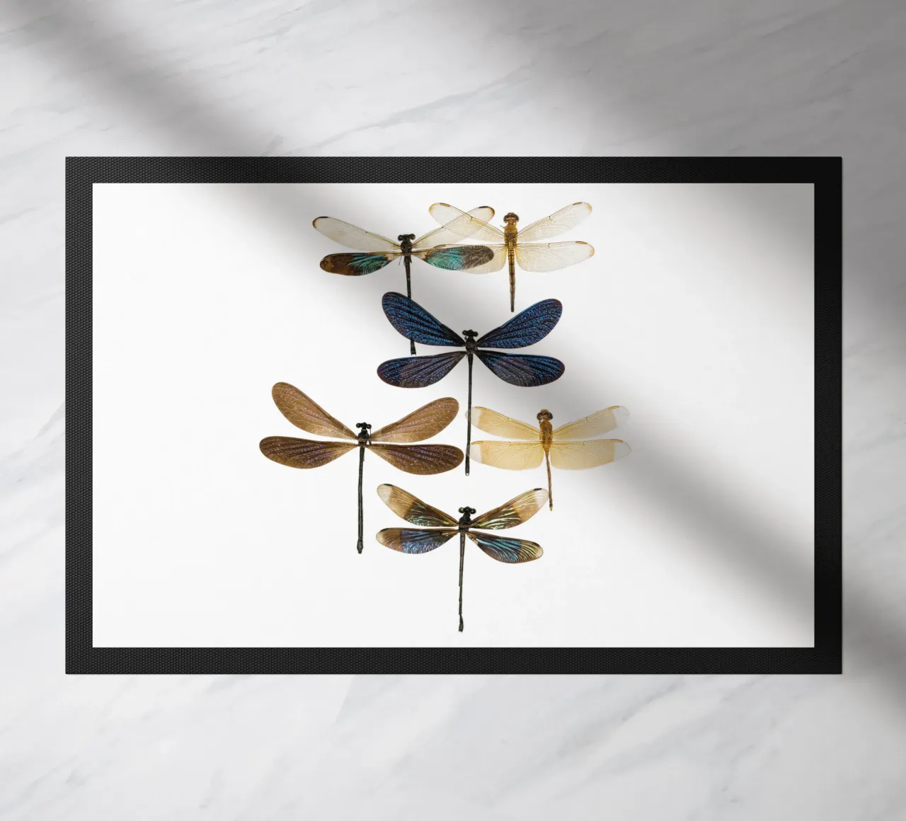Libellule zerbino da Curious Collections by Marielle Leenders