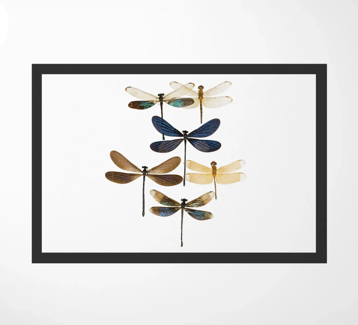 Libellen Fußmatte von Curious Collections by Marielle Leenders