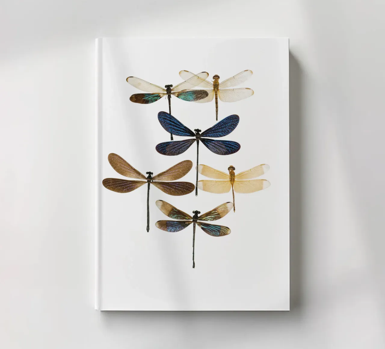 Dragonflies notebook by Curious Collections by Marielle Leenders