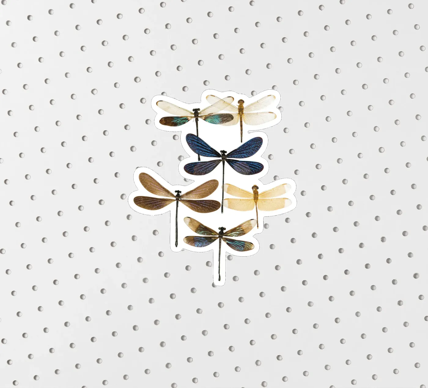 Libellen Sticker von Curious Collections by Marielle Leenders